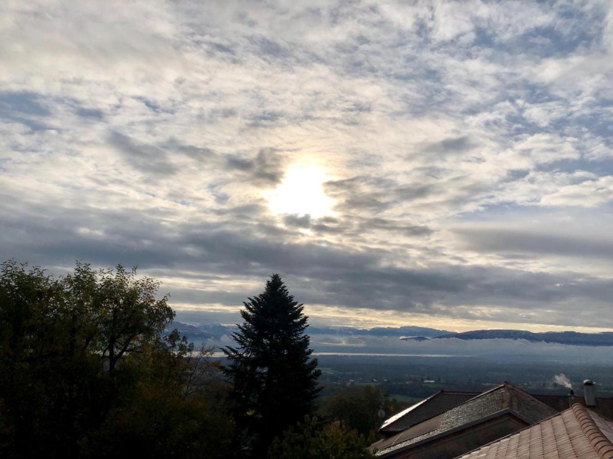 Les Lumieres De Geneve Panzió Grilly Kültér fotó